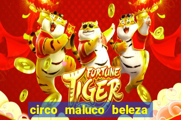 circo maluco beleza recife circo maluco