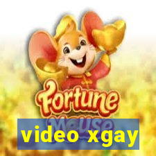 video xgay