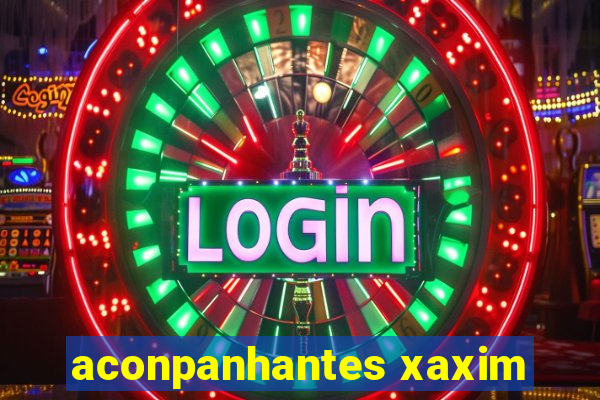 aconpanhantes xaxim