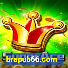 brapub66.com