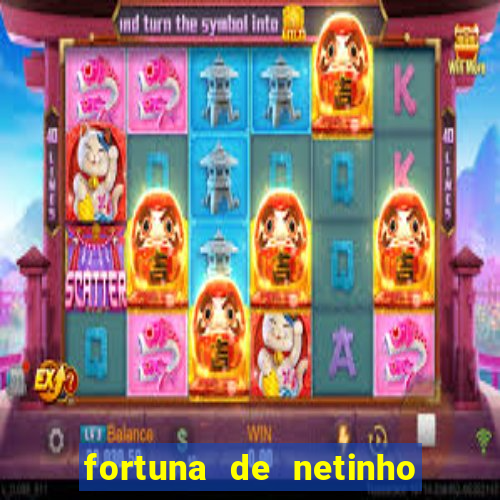 fortuna de netinho de paula